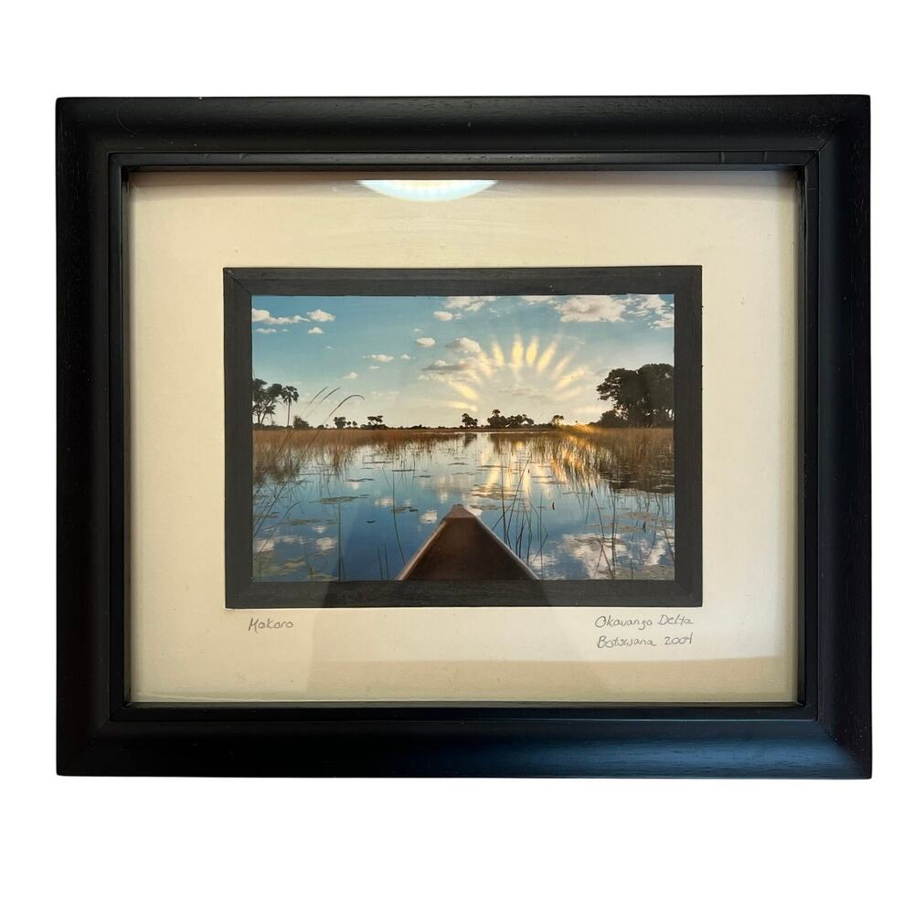 Mokoro Canoe through Reeds and Papyrus,‎ Okavango Delta, Botswana 2004